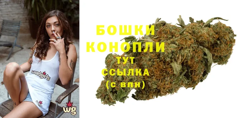 Канабис OG Kush  где найти   Минусинск 